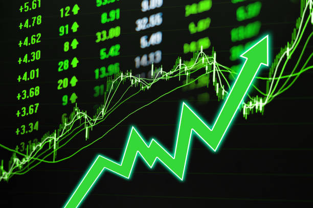 crypto bull run